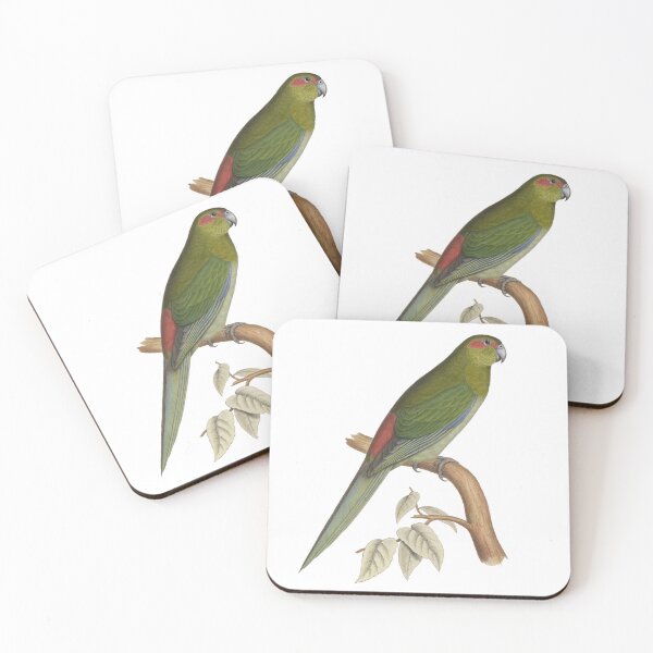 Item preview, Tahiti parakeet - Vintage Bird Illustration - Extinct Bird (1840s) designed and sold by karwilberevivalcollection.