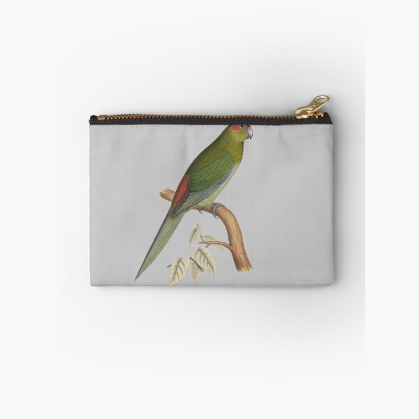 Item preview, Tahiti parakeet - Vintage Bird Illustration - Extinct Bird (1840s) designed and sold by karwilberevivalcollection.