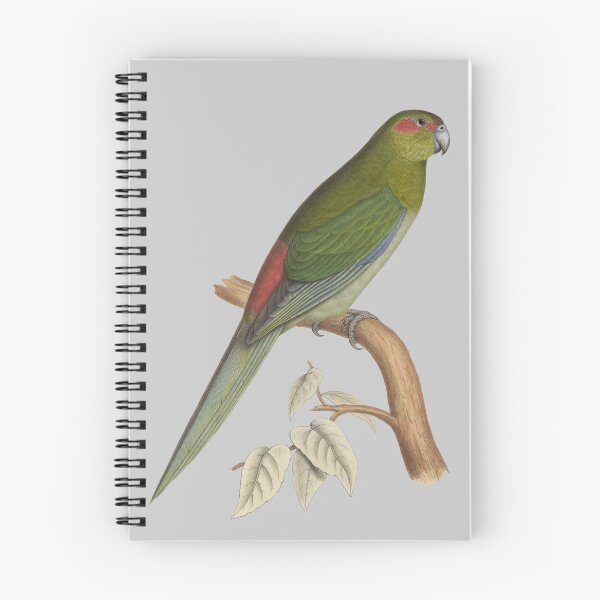 Item preview, Tahiti parakeet - Vintage Bird Illustration - Extinct Bird (1840s) designed and sold by karwilberevivalcollection.