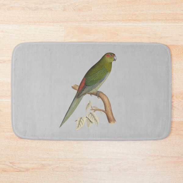 Item preview, Tahiti parakeet - Vintage Bird Illustration - Extinct Bird (1840s) designed and sold by karwilberevivalcollection.