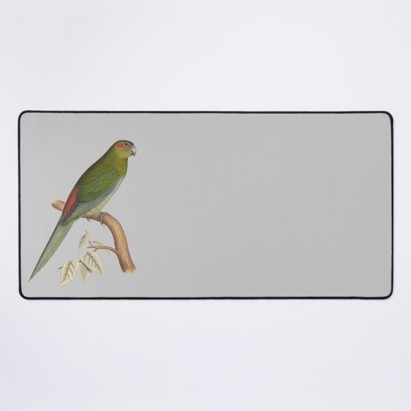 Item preview, Tahiti parakeet - Vintage Bird Illustration - Extinct Bird (1840s) designed and sold by karwilberevivalcollection.