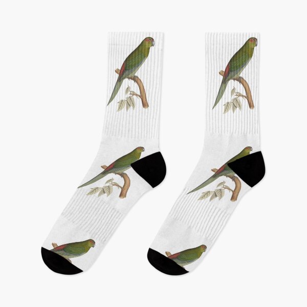 Item preview, Tahiti parakeet - Vintage Bird Illustration - Extinct Bird (1840s) designed and sold by karwilberevivalcollection.