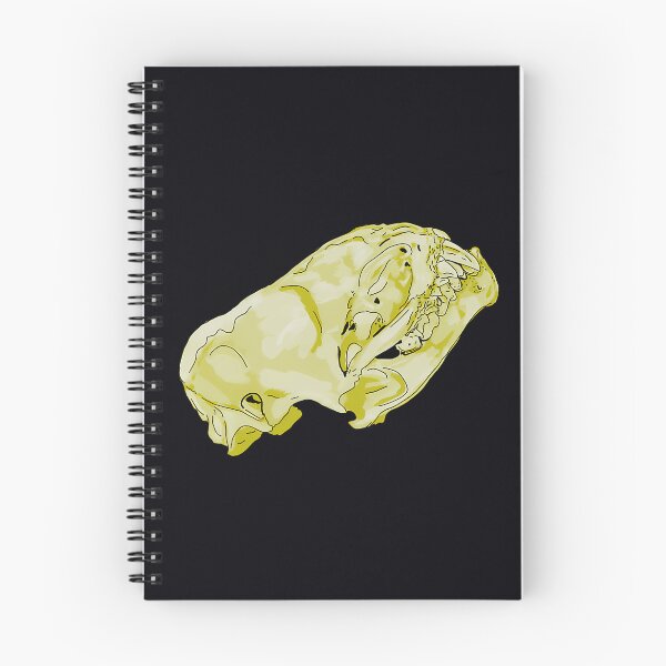 Item preview, Hoary Bat Skull Anatomy designed and sold by odbkuety83.