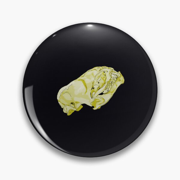 Item preview, Hoary Bat Skull Anatomy designed and sold by odbkuety83.