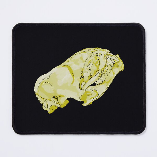 Item preview, Hoary Bat Skull Anatomy designed and sold by odbkuety83.