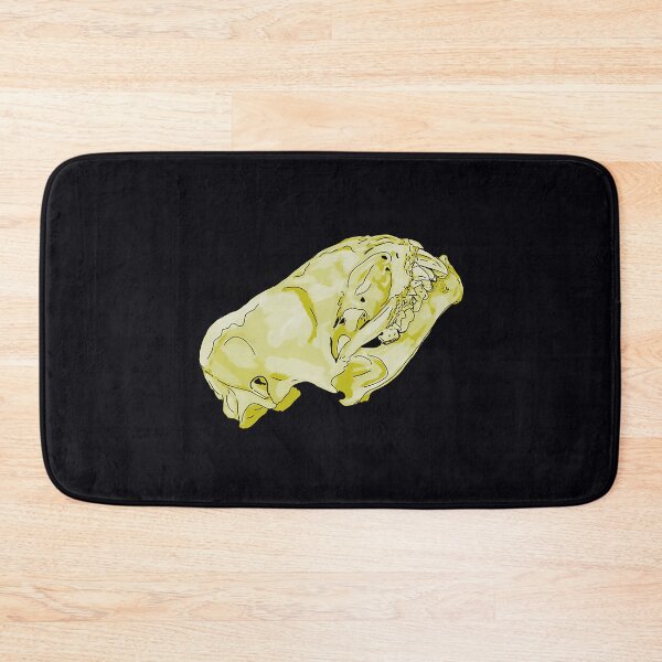 Item preview, Hoary Bat Skull Anatomy designed and sold by odbkuety83.