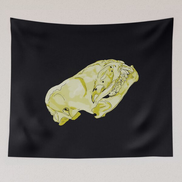 Item preview, Hoary Bat Skull Anatomy designed and sold by odbkuety83.