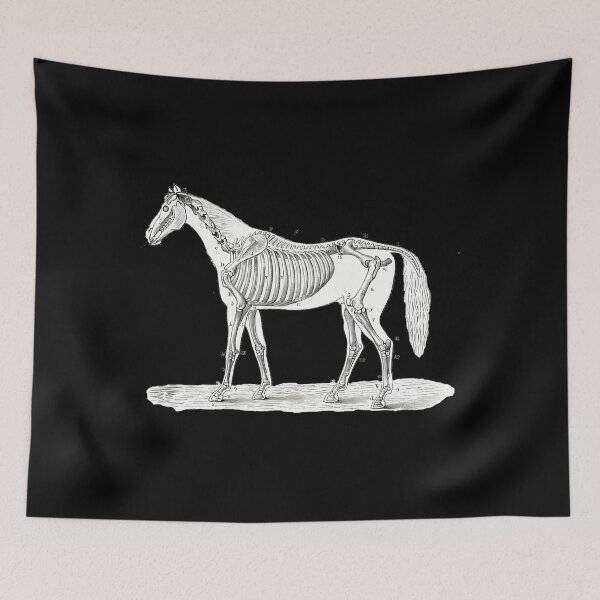 Item preview, Do Not Be Sad Good Horsie designed and sold by xvgfvhhuc79.