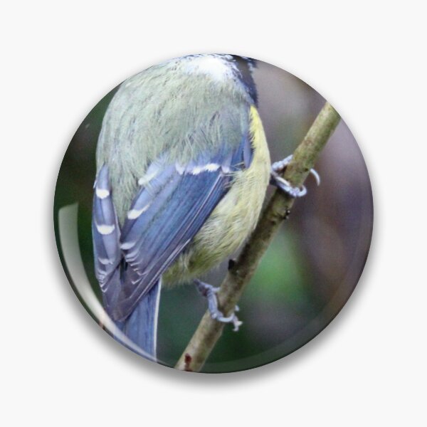 Item preview, blue tit designed and sold by KathleenDawson.
