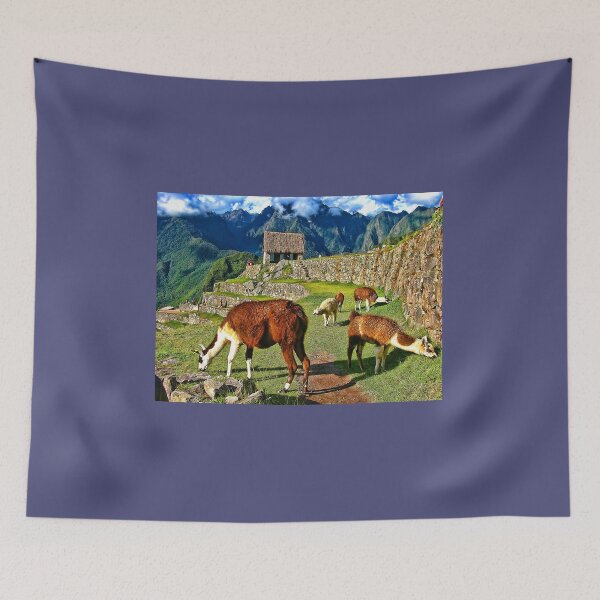 Artikelvorschau, The Llamas of Machu Picchu entworfen und verkauft von vadim19.