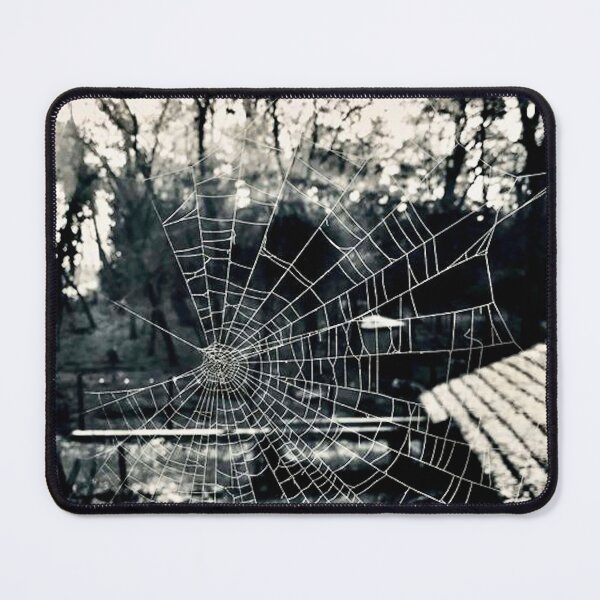 Item preview, Spider web.Photo by me.  designed and sold by havijajmedia.