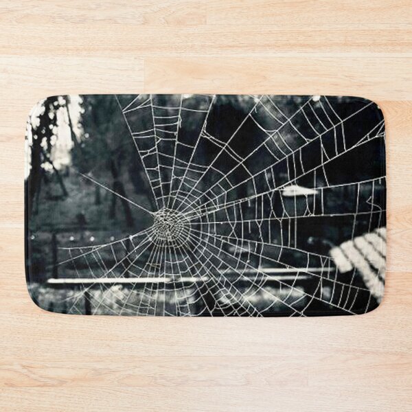 Item preview, Spider web.Photo by me.  designed and sold by havijajmedia.