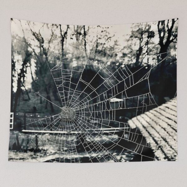 Item preview, Spider web.Photo by me.  designed and sold by havijajmedia.