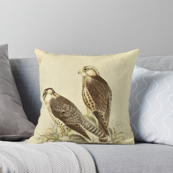 Item preview, Vintage Lanner Falcon Print – Falco biarmicus – Antique Italian Ornithology Art – Predator Bird Wall Decor – Falco Feldeggi designed and sold by Jeeklsdotcom.