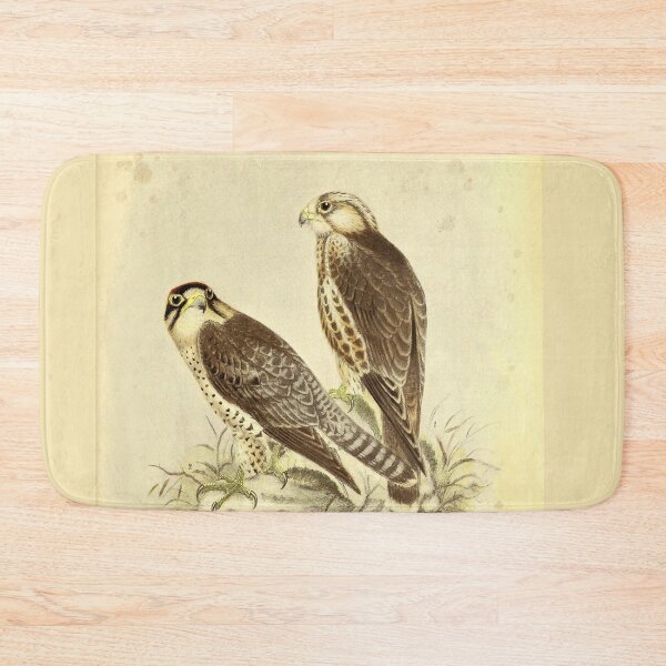 Item preview, Vintage Lanner Falcon Print – Falco biarmicus – Antique Italian Ornithology Art – Predator Bird Wall Decor – Falco Feldeggi designed and sold by Jeeklsdotcom.