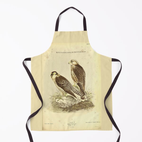 Item preview, Vintage Lanner Falcon Print – Falco biarmicus – Antique Italian Ornithology Art – Predator Bird Wall Decor – Falco Feldeggi designed and sold by Jeeklsdotcom.