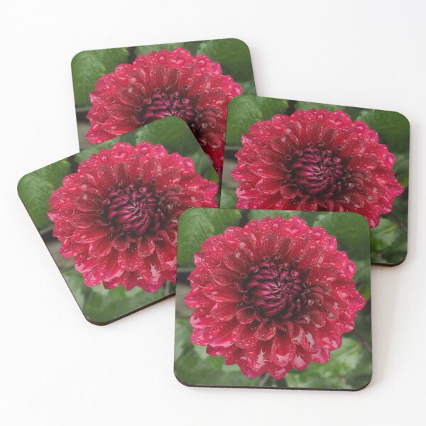 Item preview, Impressive dark red dahlia flower with wet petals designed and sold by ArteeFartee.