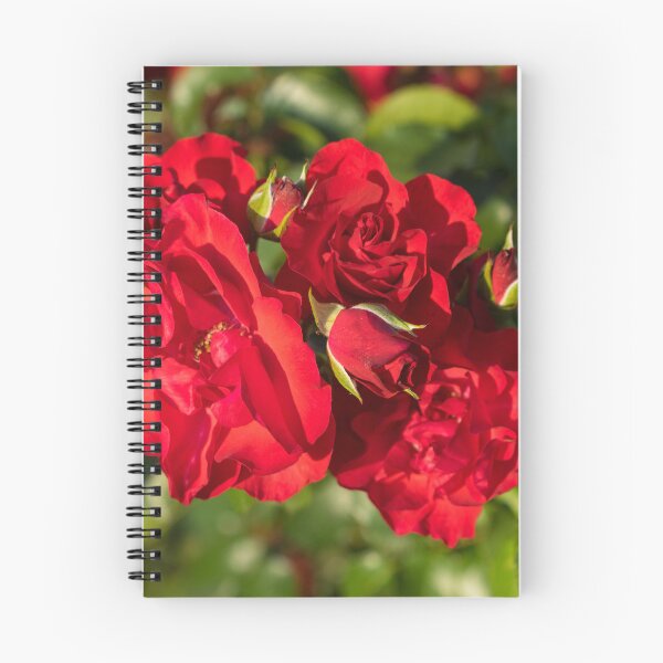 Item preview, Vibrant Red Roses in Bloom designed and sold by Georgia Mizuleva.