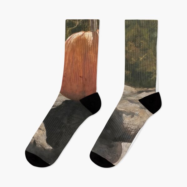 Item preview, Andrew Wyeth designed and sold by RemenarStudio.