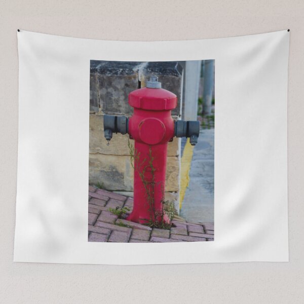 Item preview, Red Fire Hydrant Stands Boldly On City Sidewalk Against Gray Wall, Creating Striking Urban Contrast designed and sold by Nmallia.