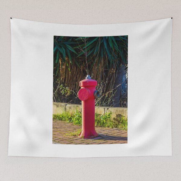 Item preview, Red Fire Hydrant Stands Boldly On City Sidewalk Against Gray Wall, Creating Striking Urban Contrast designed and sold by Nmallia.