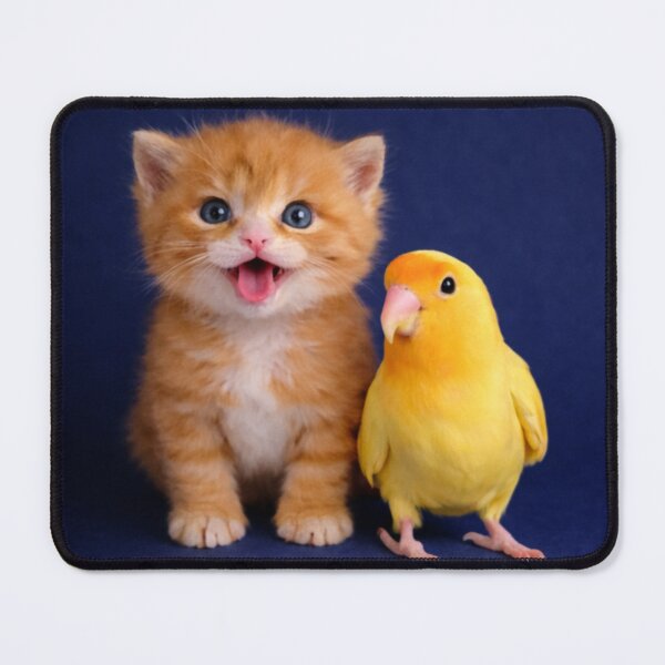 Item preview, The Sunshine Duo Ginger Kitten & Yellow Lovebird designed and sold by Dreamy Armine Art.