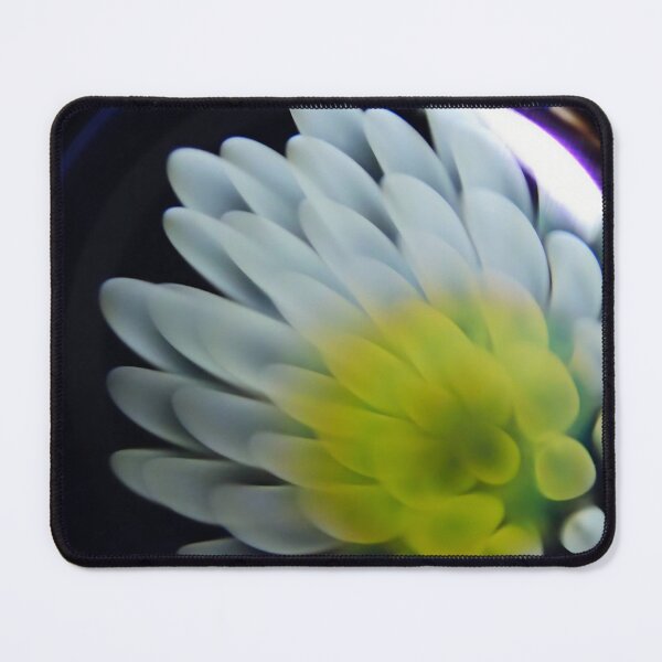 Item preview, Quiet Bloom – Borosilicate Glass Microscopy Art designed and sold by HIKARIMi.