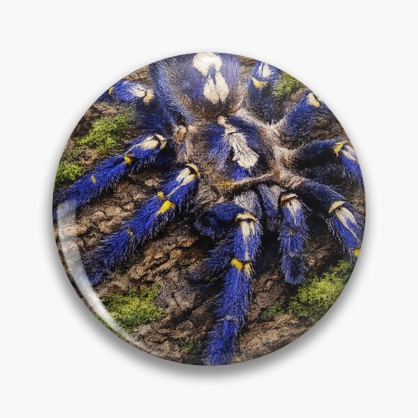 Item preview, Poecilotheria metallica Tarantula – Gooty Sapphire Ornamental on Bark – Exotic Spider Art designed and sold by Liquid Venom.