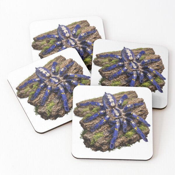 Item preview, Poecilotheria metallica Tarantula – Gooty Sapphire Ornamental on Bark – Exotic Spider Art designed and sold by Liquid Venom.