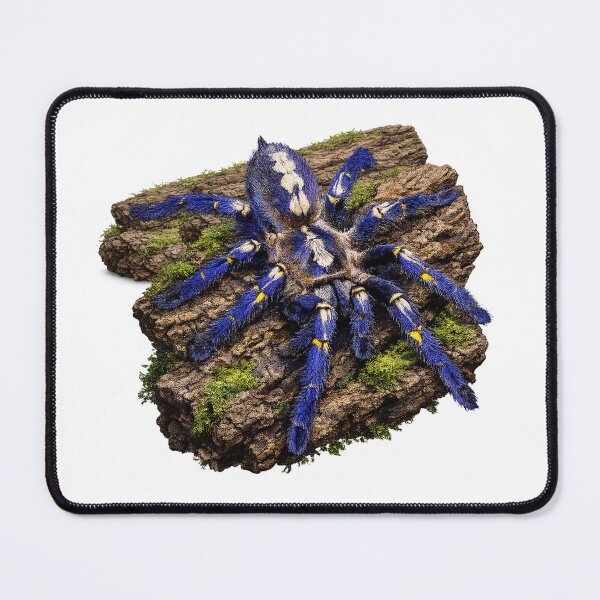 Item preview, Poecilotheria metallica Tarantula – Gooty Sapphire Ornamental on Bark – Exotic Spider Art designed and sold by Liquid Venom.