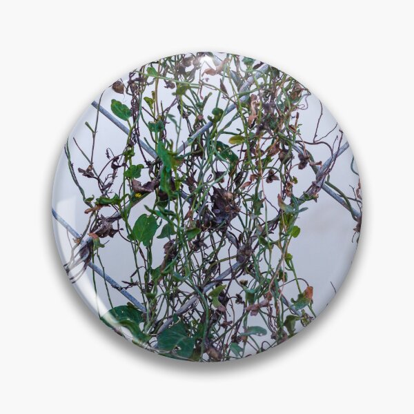 Item preview, Vines Climbing A Chain Link Fence In An Urban Setting With Dried Leaves designed and sold by Nmallia.