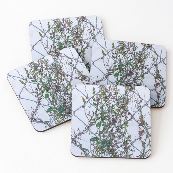Item preview, Vines Climbing A Chain Link Fence In An Urban Setting With Dried Leaves designed and sold by Nmallia.