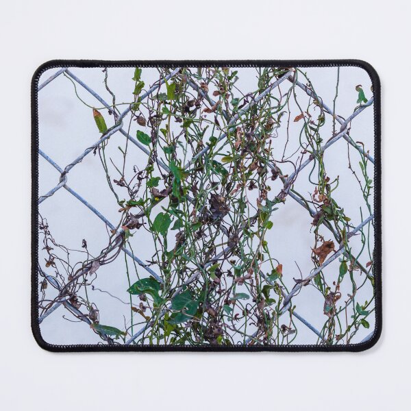Item preview, Vines Climbing A Chain Link Fence In An Urban Setting With Dried Leaves designed and sold by Nmallia.