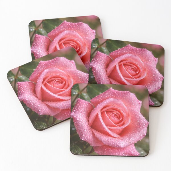 Item preview, Pink Hybrid Tea Rose designed and sold by Dreamy Armine Art.