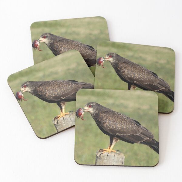 Item preview, Brazil Core Animal Birdwatch Crab Hawk Brazilian Birds designed and sold by helderpoeta.