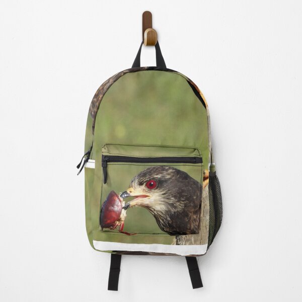 Item preview, Brazil Core Animal Birdwatch Crab Hawk Brazilian Birds designed and sold by helderpoeta.