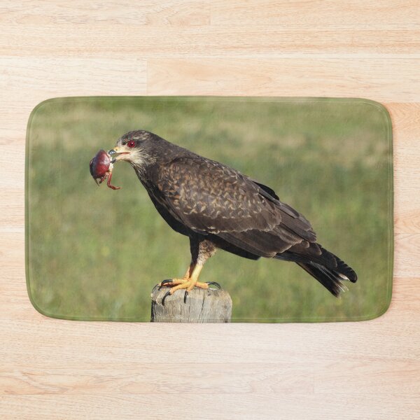 Item preview, Brazil Core Animal Birdwatch Crab Hawk Brazilian Birds designed and sold by helderpoeta.