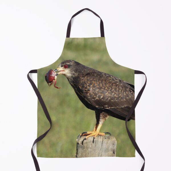 Item preview, Brazil Core Animal Birdwatch Crab Hawk Brazilian Birds designed and sold by helderpoeta.