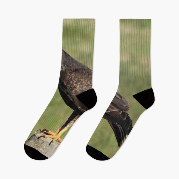 Item preview, Brazil Core Animal Birdwatch Crab Hawk Brazilian Birds designed and sold by helderpoeta.