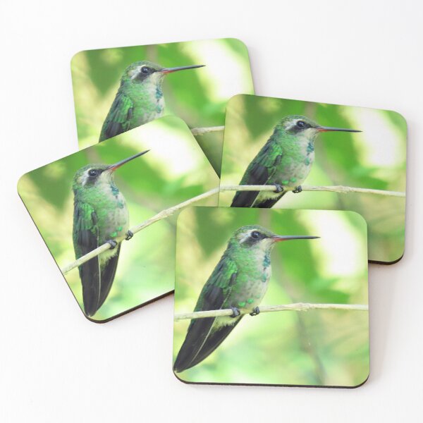 Item preview, Brazil Core Red Beak little Beetle Animal Birdwatch designed and sold by helderpoeta.