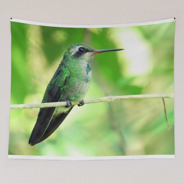 Item preview, Brazil Core Red Beak little Beetle Animal Birdwatch designed and sold by helderpoeta.