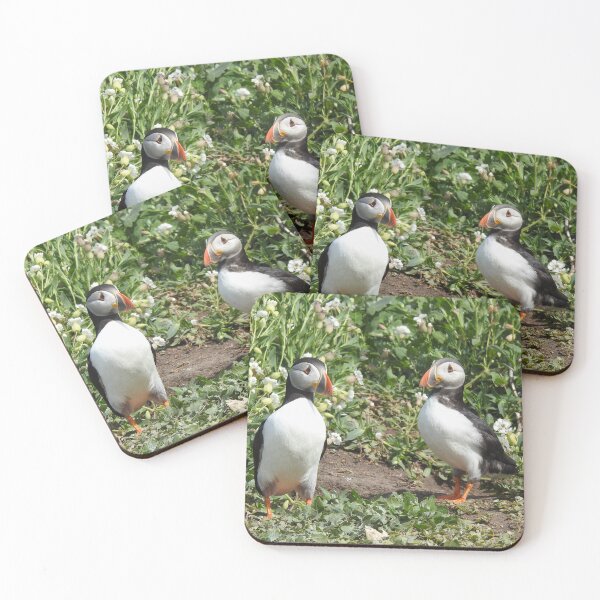 Item preview, Pair of Atlantic Puffins in front of white Sea Campion flowers designed and sold by TwistedClassics.