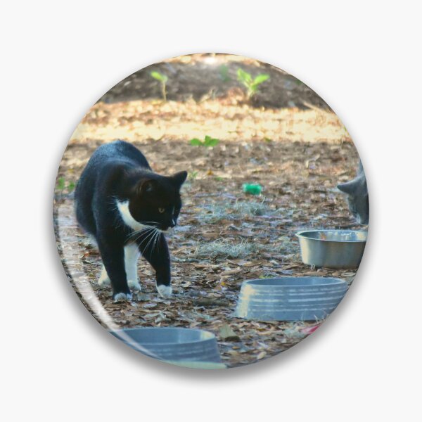 Item preview, Homeless Cat Encampment designed and sold by MercerImages.