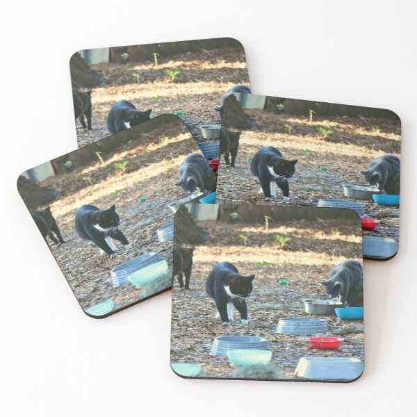 Item preview, Homeless Cat Encampment designed and sold by MercerImages.