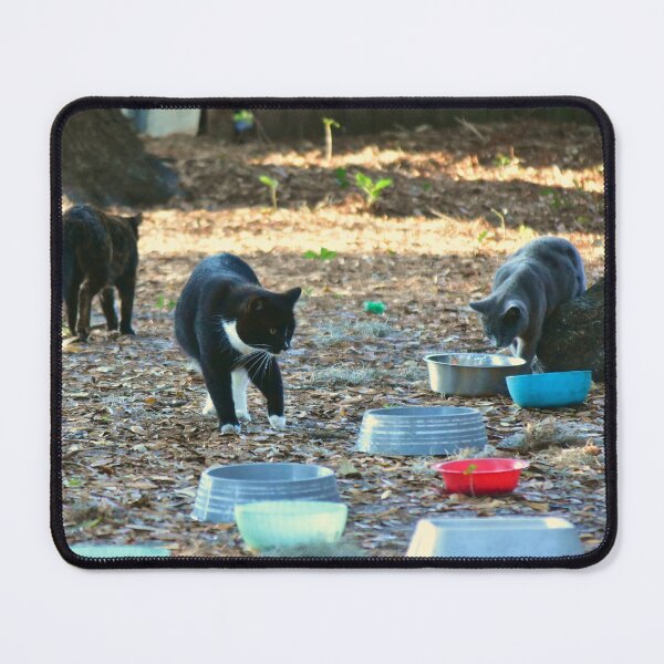 Item preview, Homeless Cat Encampment designed and sold by MercerImages.