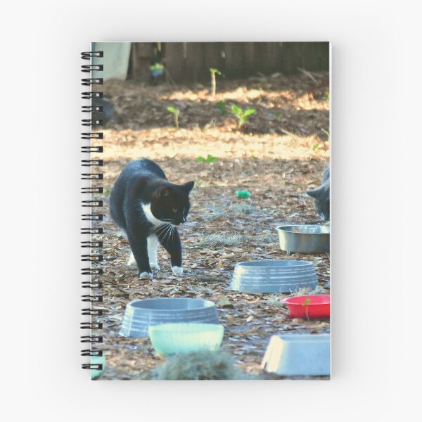 Item preview, Homeless Cat Encampment designed and sold by MercerImages.