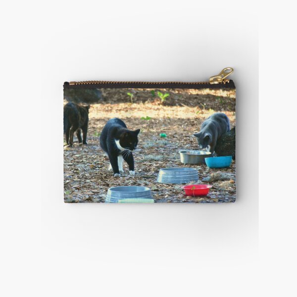 Item preview, Homeless Cat Encampment designed and sold by MercerImages.