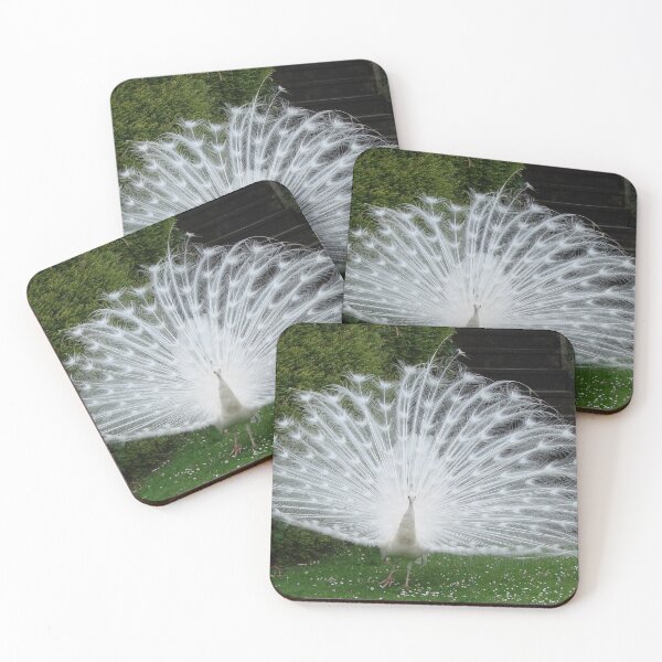 Item preview, White peacock displaying his amazing feathers designed and sold by TwistedClassics.