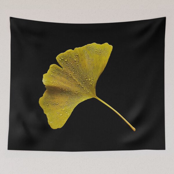 Item preview, Ginkgo Leaf Dew Autumn designed and sold by Carl's Clothing.