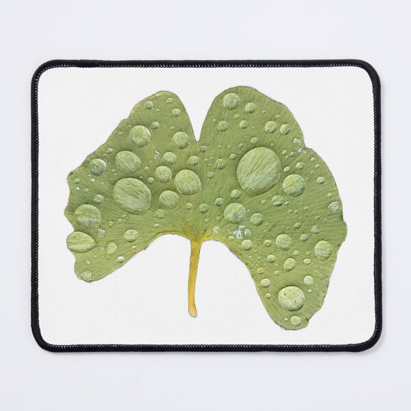 Item preview, Wet Ginkgo Leaf designed and sold by Carl's Clothing.